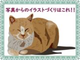 illusteye-cat-chab