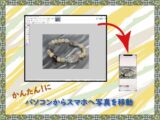 pctosumaphotoeyecatchab
